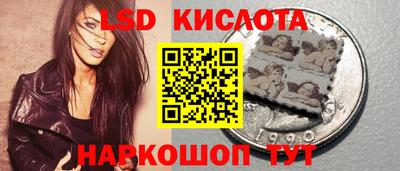 ECSTASY Новозыбков