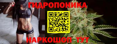 ECSTASY Новозыбков