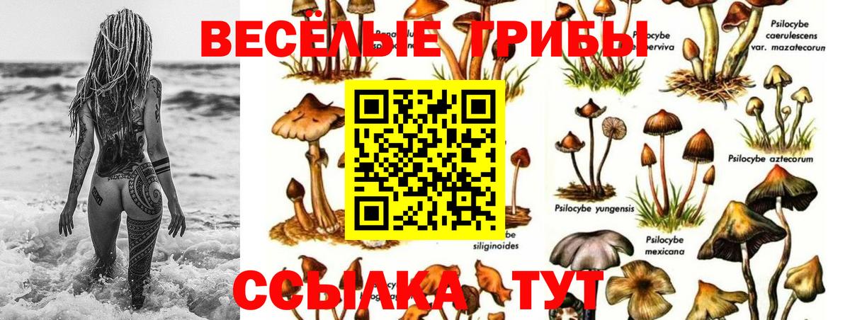 Галлюциногенные грибы прущие грибы  где найти наркотики  Псилоцибиновые грибы ЛСД  Трёхгорный  Вход с VPN 