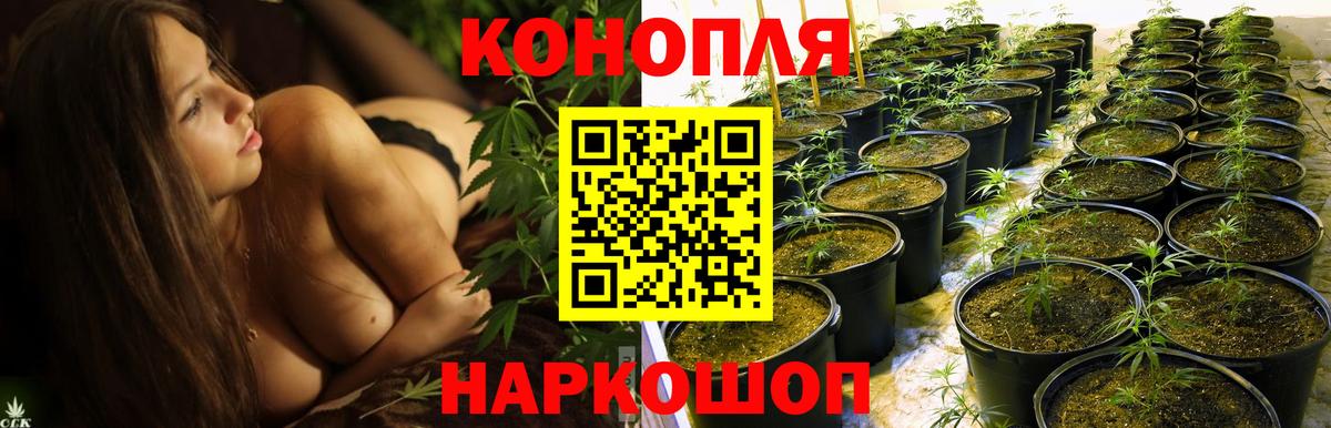 Шишки марихуана марихуана  Каннабис марихуана  Трёхгорный  Вход с VPN  Шишки марихуана Bruce Banner  Марихуана VHQ 